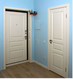 сочетание входной и межкомнатной двери в квартире