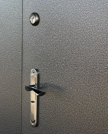 Двухстворчатая дверь металлическая DV-003