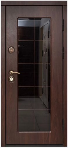 Стеклянная дверь в металлической раме DVST-004